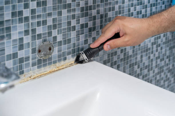 Best Basement Mold Remediation in Ripon, WI