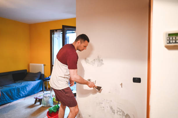 Best Attic Mold Remediation in Ripon, WI